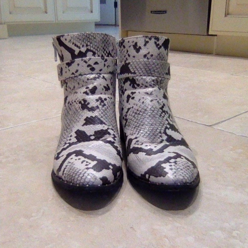 NastyGal Snakeskin Western Booties - Picture 2 of 5
